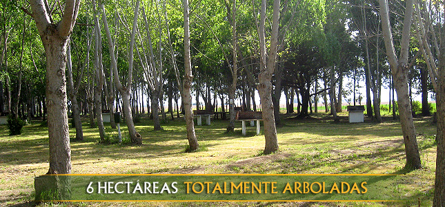 Camping Playa Dorada